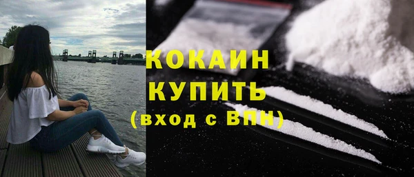 apvp Инсар
