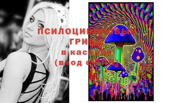 не бодяженный Каменка