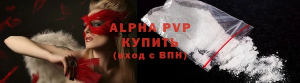 apvp Инсар