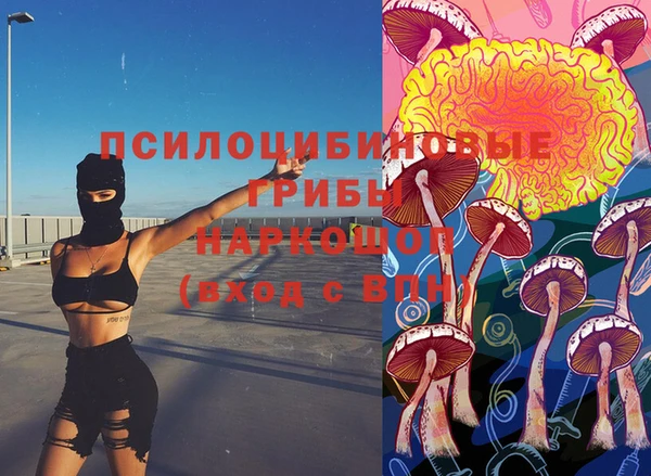 герыч Каменногорск