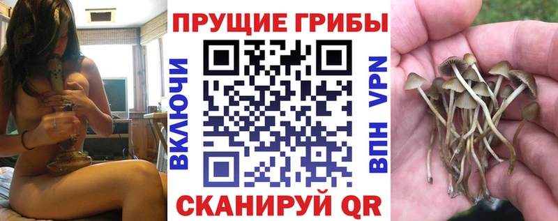 Галлюциногенные грибы мицелий  Купить где  Урай 